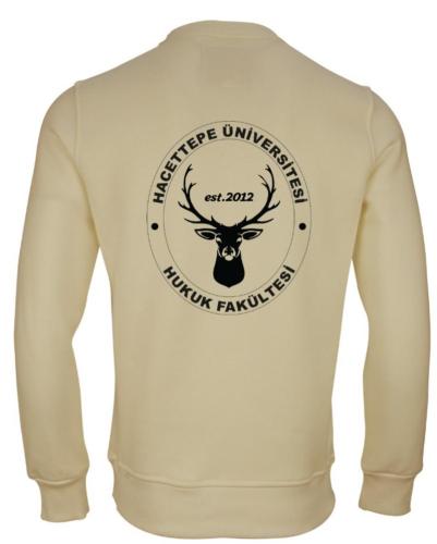 Hacettepe Üniversitesi Hukuk Fakültesi Model 1