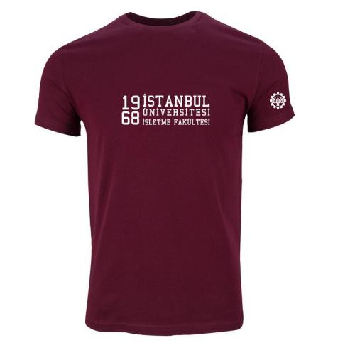 Istanbul Üniversitesi Isletme Fakültesi Model 1