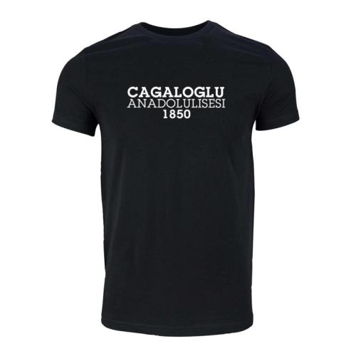 Cagaloglu Anadolu Lisesi Model 2