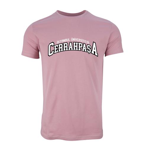 Istanbul Üniversitesi-Cerrahpasa Model 2