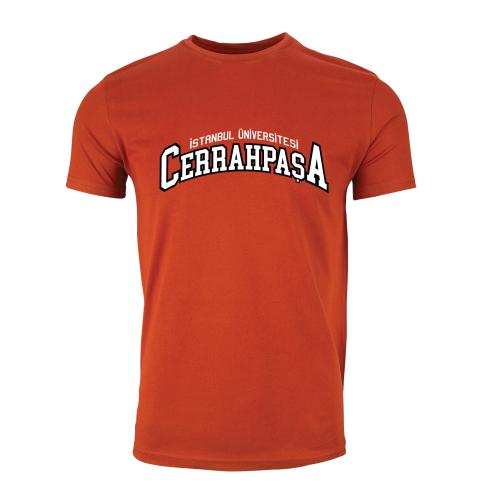 Istanbul Üniversitesi-Cerrahpasa Model 2