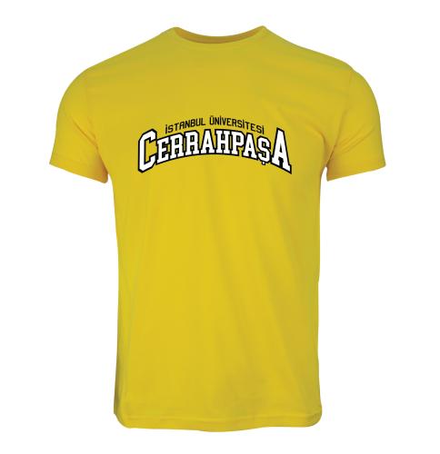 Istanbul Üniversitesi-Cerrahpasa Model 2