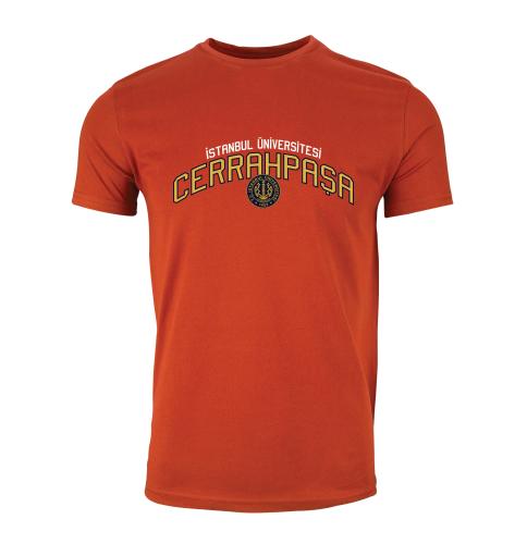 Istanbul Üniversitesi-Cerrahpasa Model 4