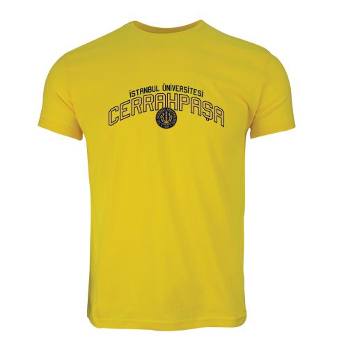 Istanbul Üniversitesi-Cerrahpasa Model 4