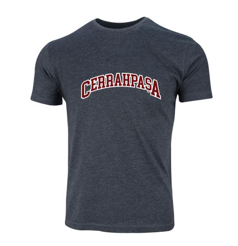 Istanbul Üniversitesi-Cerrahpasa Model 8