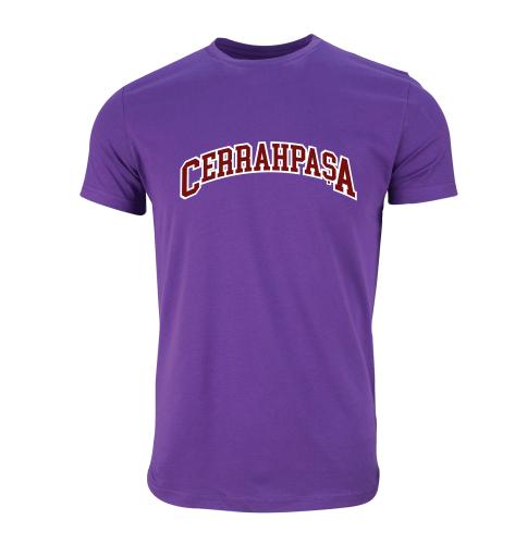 Istanbul Üniversitesi-Cerrahpasa Model 8