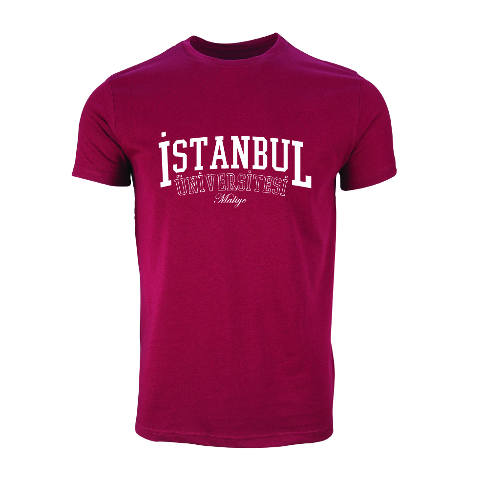 Istanbul Üniversitesi Maliye Model 1